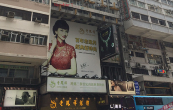皇上皇大廈 cases image